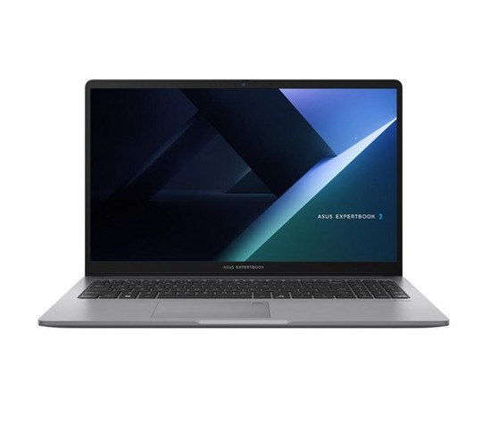 Laptop ASUS ExpertBook P1