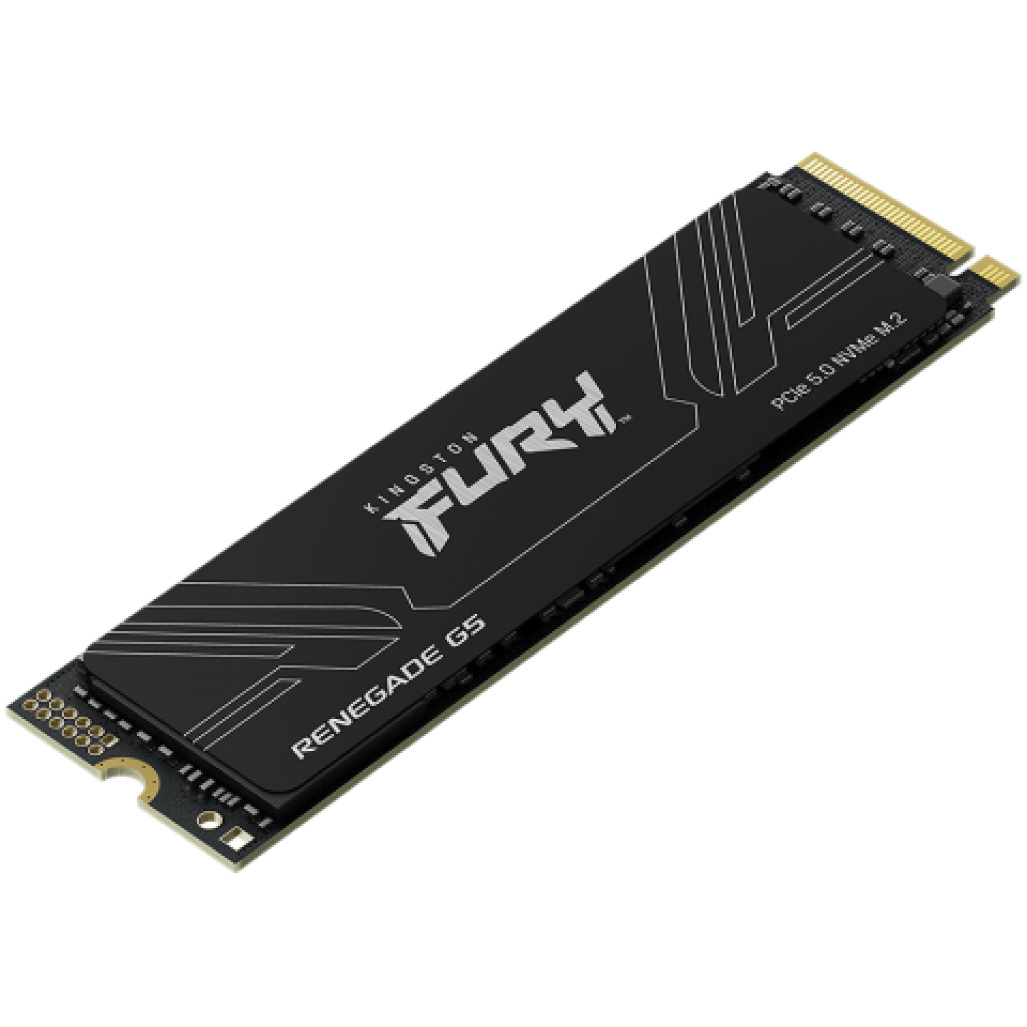 KINGSTON 1024GB FURY Renegade G5 PCIe 5.0 M.2 NVMe SSD KINGSTON 1024GB FURY Renegade G5 PCIe 5.0 M.2 NVMe SSD