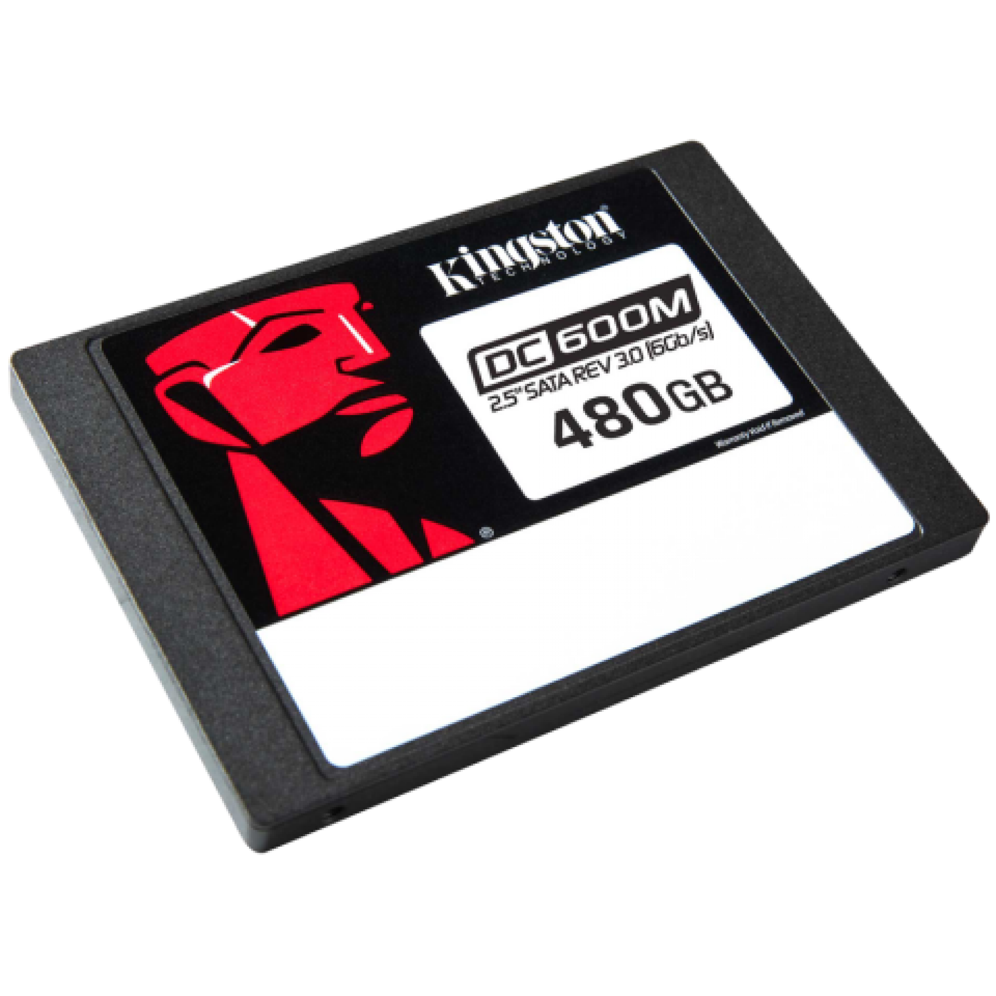 Kingston 480G DC600M