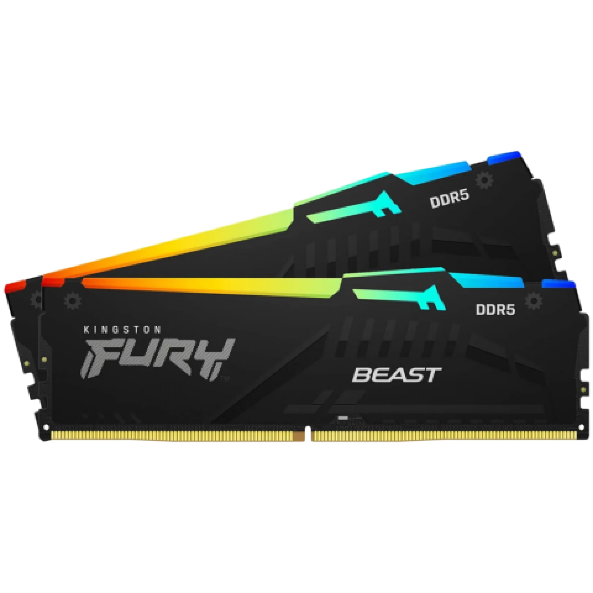 KINGSTON 8 GB DDR5 SDRAM DIMM 288-pin RAM Gaming Desktop